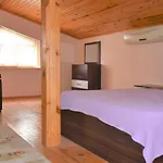 Dinara Kemer