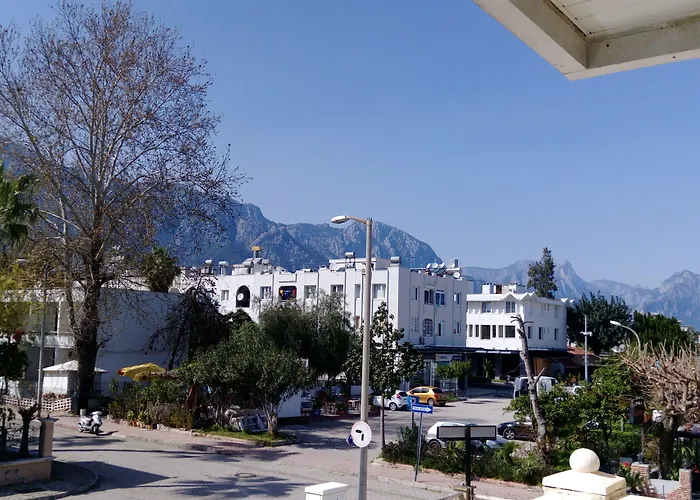 Dinara Kemer