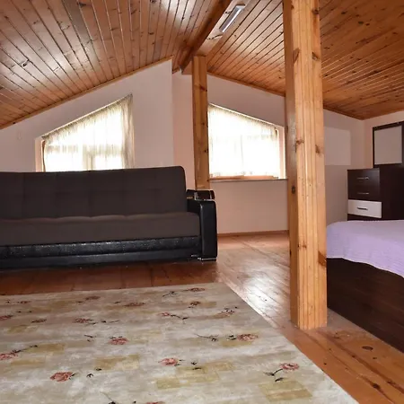Dinara Hotel 2*