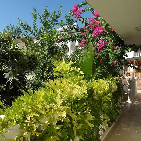 Hotel Dinara Kemer